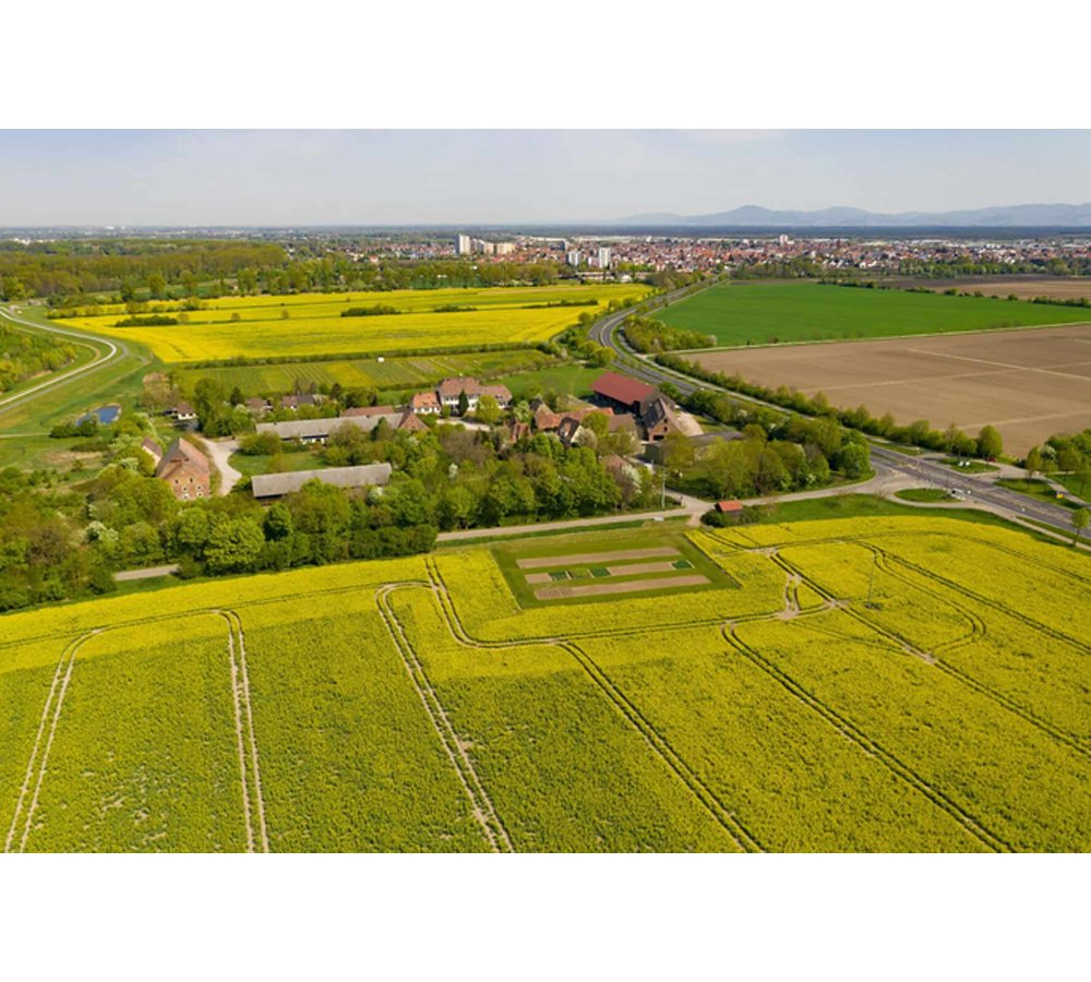 Südzucker-Versuchsgut Kirschgartshausen